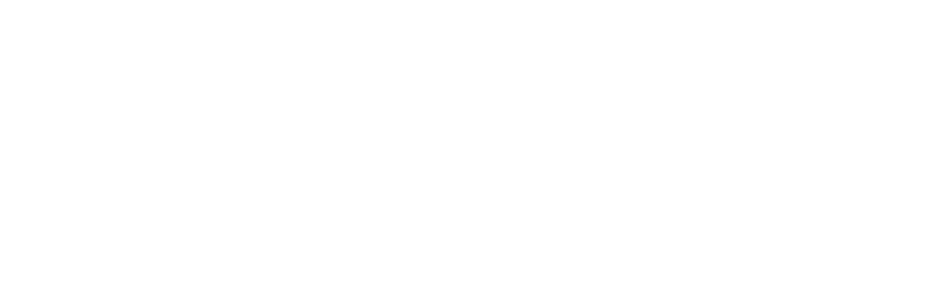 Netmind Digital Footer Logo