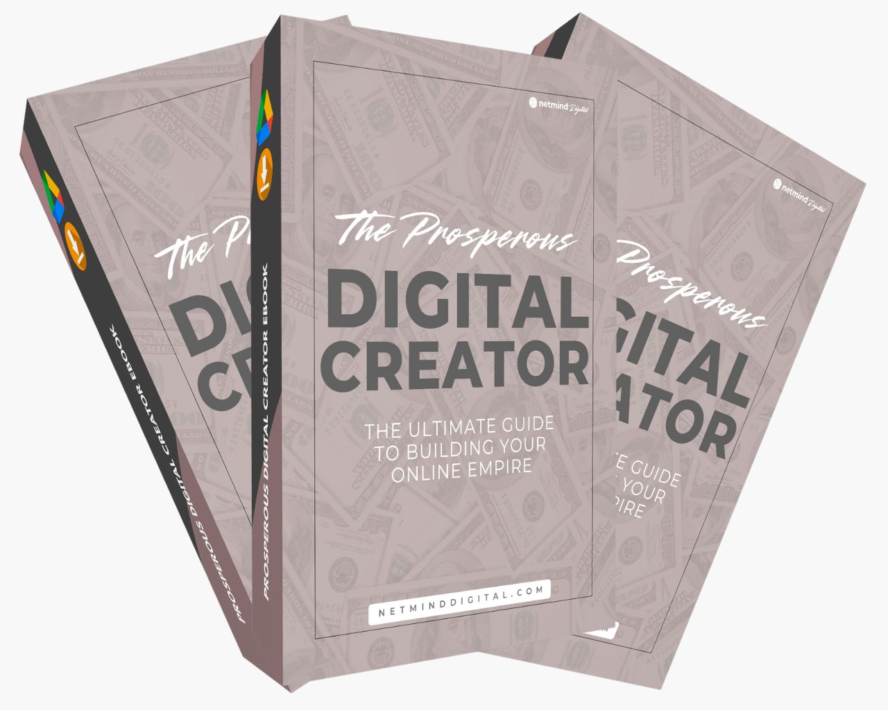 Vibrant Prosperous Digital Creator eBook 2025 1 Prosperous Digital Creator eBook